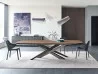 The Lancer Wood table in a dining room