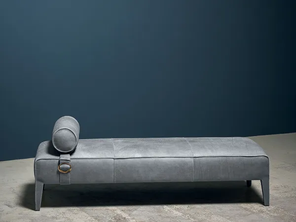 Freud de Baxter dans un espace de vie