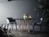 The Lepel chair by Casamania in a dining area