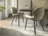 The Rachel Wood chair by Cattelan Italia