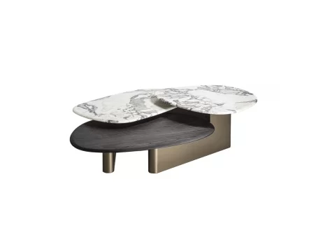 The Callisto Mix Wood coffee table by Porada