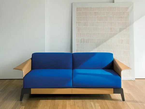 起居室中的 Campeggi Ciac 沙发