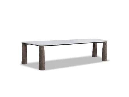 巴克斯特内华达桌