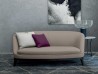 The Dragonfly sofa by Flexform in a living area