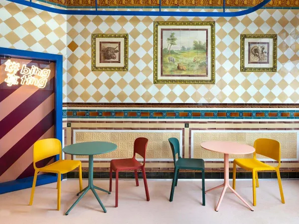 The Dome chair by Pedrali in a contract space