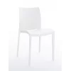 Colico Brera Chair