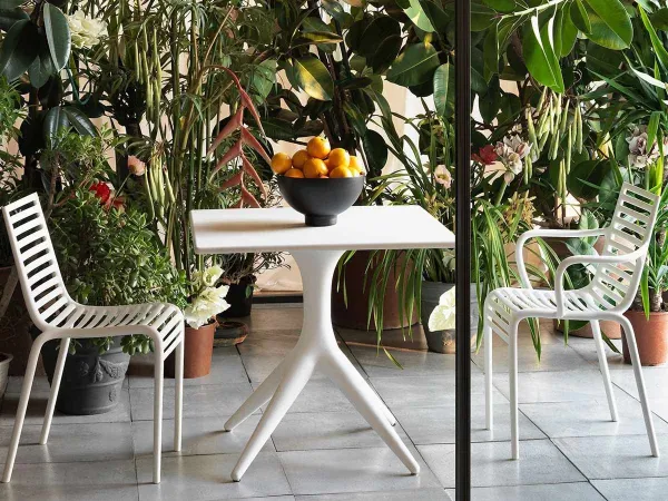 Driade Pip-e Chair best price online