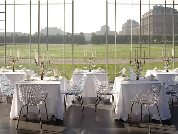 Meridiana Chair Driade best price online