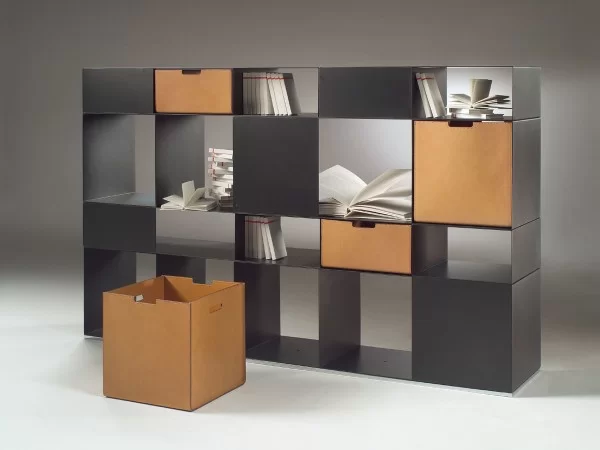 Flexform Infinity Bookcase unit for living room