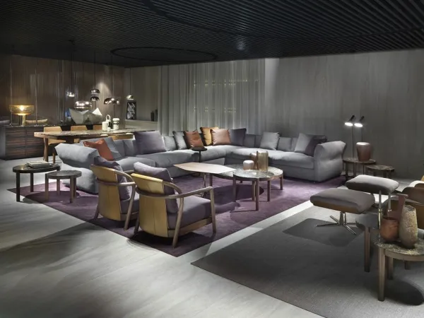 Alison 扶手椅 Flexform