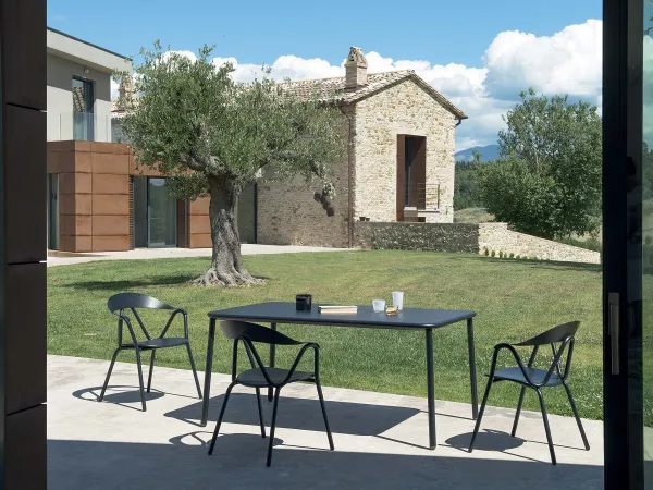 礁石扶手椅鸸鹋