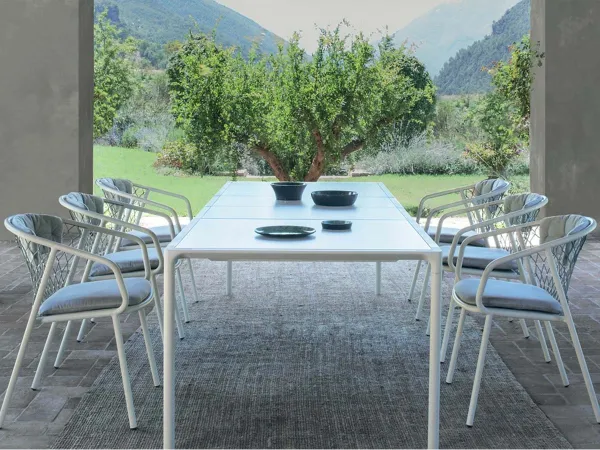 内夫扶手椅鸸鹋