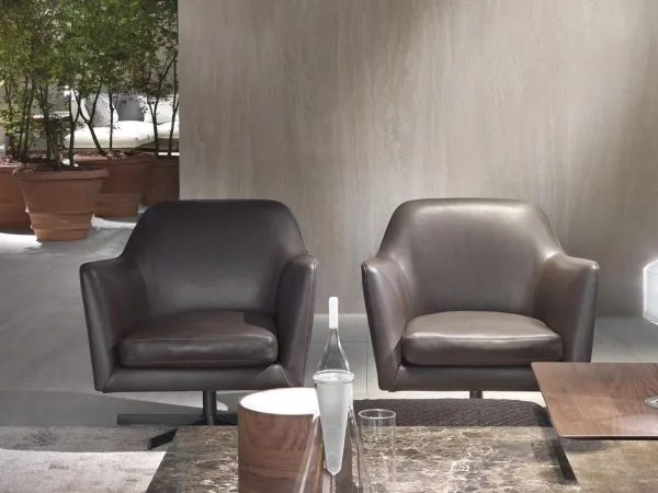 Luce 扶手椅 Flexform