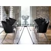 Driade King Costes Chair best price online