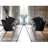 King Costes Chaise Driade