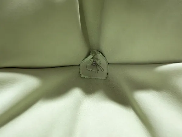 Milano Bergère armchair by Baxter